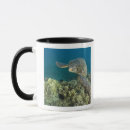 Search for green turtle mugs Swimming