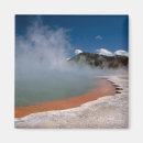 Search for rise magnets New zealand