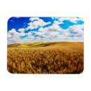 Search for crop magnets Colour