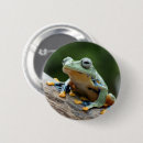 Search for frog badges Cool