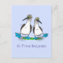 Search for galapagos islands postcards Animal