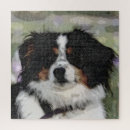 Search for australian shepherd puzzles Animal