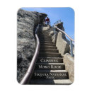 Search for sequioa Hiking