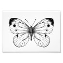 Search for butterfly art Pattern