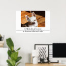 Search for funny chihuahua posters Cute