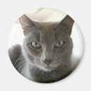 Search for russian magnets Animal