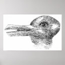 Search for visual illusions posters Rabbit