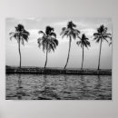 Search for black and white tree posters Paradise