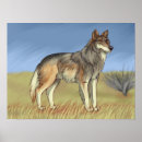 Search for wolf posters Canine