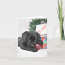 Search for labrador thank you cards Black