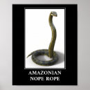 Search for anaconda Reptile