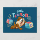 Search for taz invitations Looney tunes