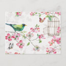 Search for butterfly postcards Flowers