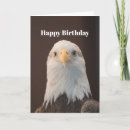 Search for eagle birthday cards Wildlife