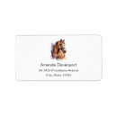 Search for head return address labels Horse