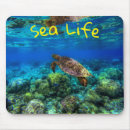 Search for undersea mouse mats Tropical