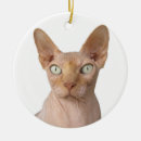 Search for sphynx cat christmas tree decorations Animal