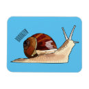 Search for slug magnets Shell