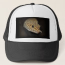 Search for black leopards hats Animals