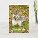 Search for no occasion cards Nature