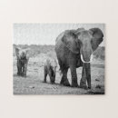 Search for african elephant puzzles Animal family