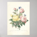 Search for bengal rose Vintage