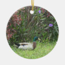 Search for mallard duck christmas tree decorations Mallards