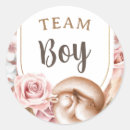 Search for baby sleep boy stickers Sleeping