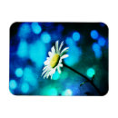 Search for green daisy magnets Blue