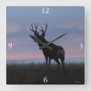 Search for mule photography Deer