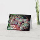 Search for succulents birthday cards Flower