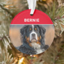 Search for dog by breed christmas tree decorations Pets
