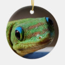 Search for gecko christmas tree decorations Tropical