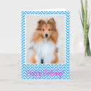 Search for sheltie birthday cards Pet
