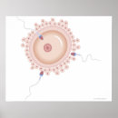 Search for mutation posters Work