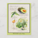 Search for botanic postcards Text