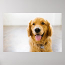 Search for panting art Puppy