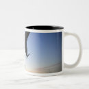 Search for fighting falcon mugs Outdoors