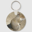 Search for gray squirrel key rings Cute