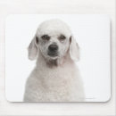 Search for 1 year old mouse mats Full length