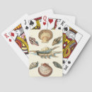 Search for fancy playing cards Beach