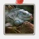 Search for gecko christmas tree decorations Photograph