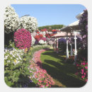Search for petunia stickers Nature