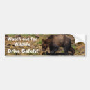 Search for grizzly bumper stickers Bears