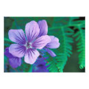 Search for depth of field posters North america