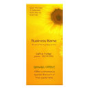 Search for template rack cards Floral