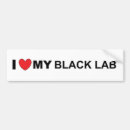 Search for black lab bumper stickers Cute