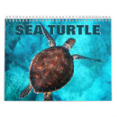 Search for turtle calendars Animal