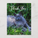Search for russian thank you cards Pet