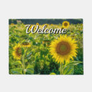 Search for sunflower garden outdoor Field